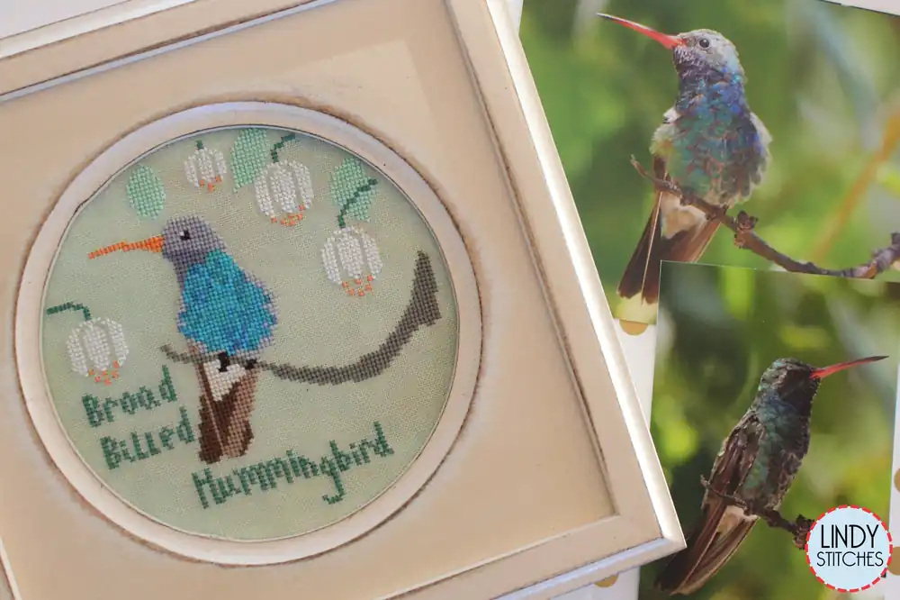 Broad-Billed Hummingbird Bird Crush Club Cross Stitch Pattern #3 Trusted Brand
