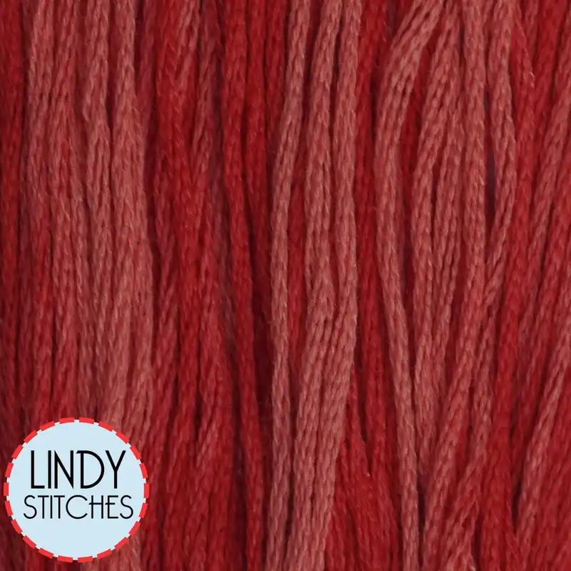 Direct From Factory Ladybug Classic Colorworks Floss Hand Dyed Cotton Skein