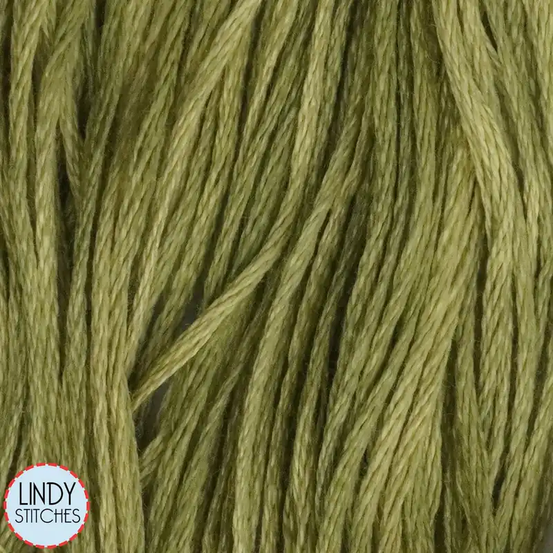 Buy Today Guacamole Weeks Dye Works Floss Hand Dyed Cotton Skein 1193