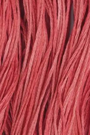 Today Only Aztec Red Weeks Dye Works Floss Hand Dyed Cotton Skein 2258