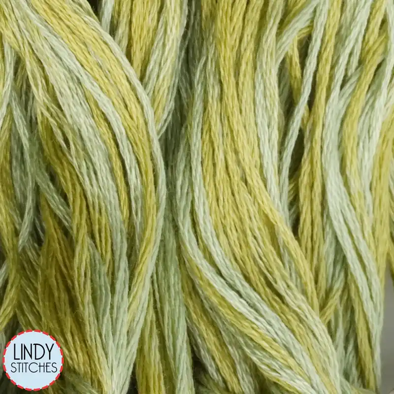Pistachio Weeks Dye Works Floss Hand Dyed Cotton Skein 2206 Mega Sale