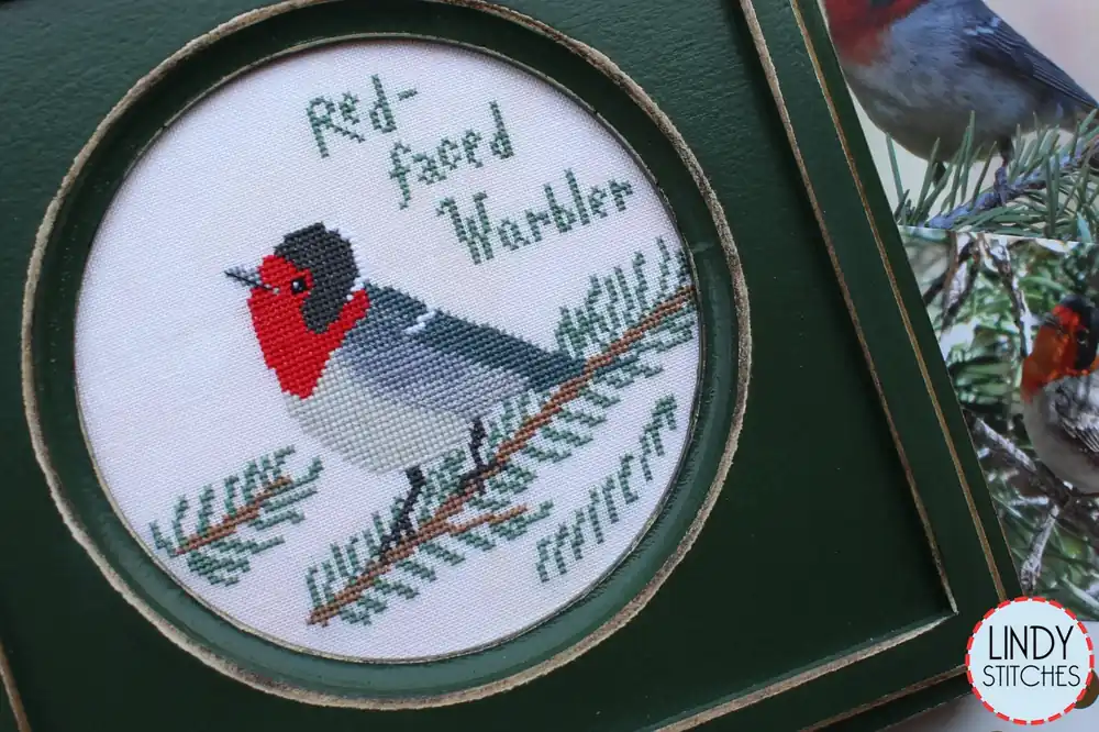 Red Faced Warbler Bird Crush Club Cross Stitch Pattern #12 Bulk Order