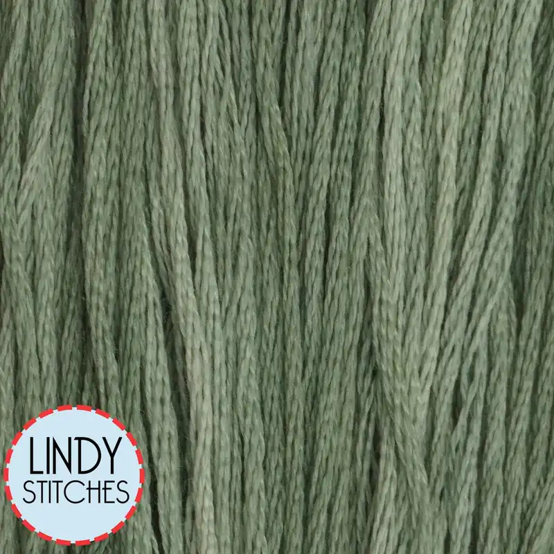 Editor’s Pick Poblano Pepper Classic Colorworks Floss Hand Dyed Cotton Skein