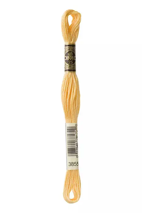 Express Delivery 3855 DMC Six Strand Cotton Embroidery Floss