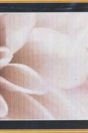 Dahlia (NOS) Best Seller