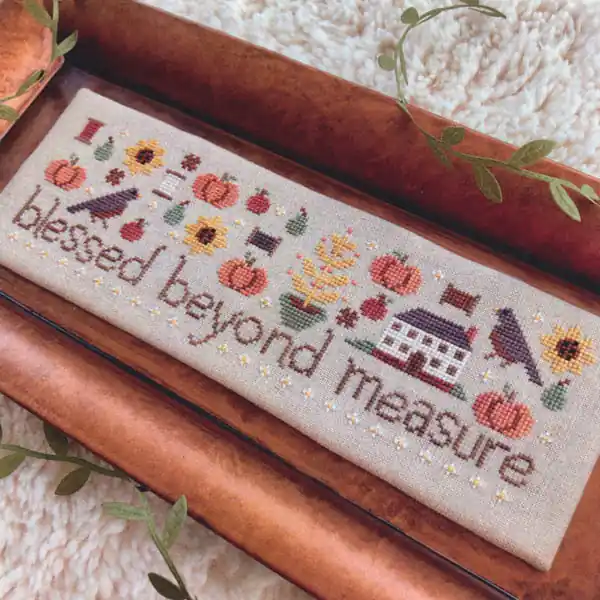 Blessed Beyond Measure Reduced Price