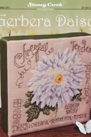 Gerbera Daisy (pre-owned) High Quality
