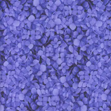 Cheap Timeless Treasures Fabrics Midnight Blooms Purple Packed Hydrangea Petals