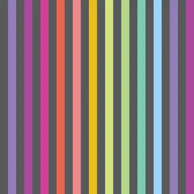 FreeSpirit Fabrics True Colors Graywork by Tula Pink Disco Stripe Carbon Big Sale