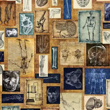 Special Discount Quilting Treasures Fabrics True Detective Dan Morris Multi Anatomy patches
