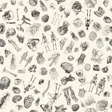 Quilting Treasures Fabrics True Detective Dan Morris Ecru Anatomy Trusted Brand