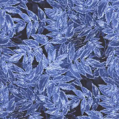 Direct From Factory Timeless Treasures Fabrics Ice Winter Scenes Flosted Glitter Leaves Indigo