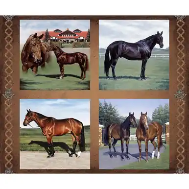Best Choice Quilting Treasures Fabrics Horse Country Dan Morris Kentucky Horse Farm Panel