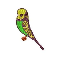 Bird Budgie Embroidery Design Bargain