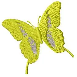 Flash Sale Butterfly Embroidery Design