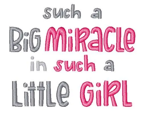 Free Delivery Big Miracle Embroidery Design