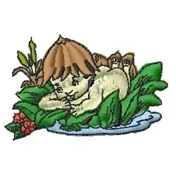 Water Baby Embroidery Design Next Day Delivery