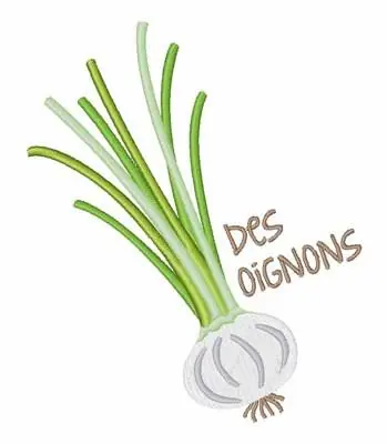Direct From Factory Des Oignions Embroidery Design