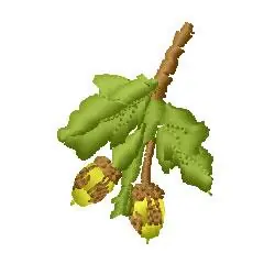 Acorns Embroidery Design Last Chance