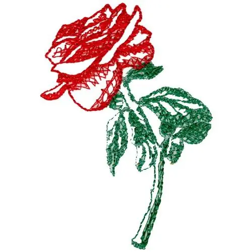 Premium Rose Appliqué Embroidery Design