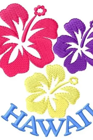 Hawaii Embroidery Design Discount