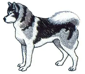 Express Delivery Siberian Husky Embroidery Design