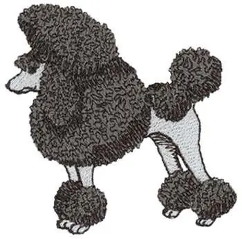 New Arrival Poodle Embroidery Design