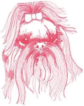 Shop Now Shih Tzu Embroidery Design