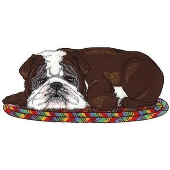 Bulldog On Rug Embroidery Design Same Day Shipping