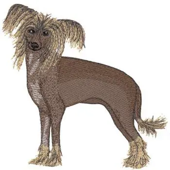 Handmade Chinese Crested Dog Embroidery Design