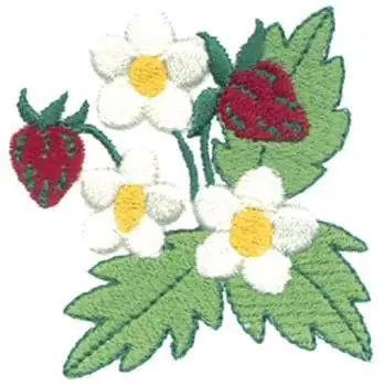 Strawberry Embroidery Design Authentic