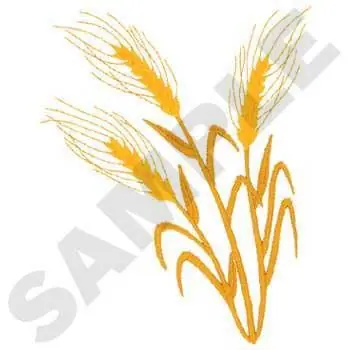 Wheat Embroidery Design Exclusive