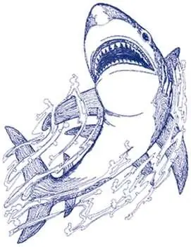 Shark Embroidery Design Limited Time