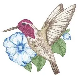 Costas Hummingbird Embroidery Design One Day Deal