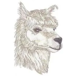 Alpaca Embroidery Design Secure Checkout