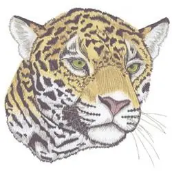 Jaguar Embroidery Design Luxury