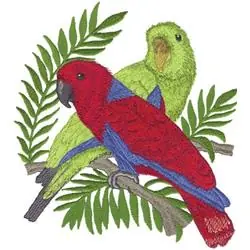 Must Have Eclectus Parrots Embroidery Design