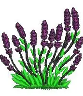Lavender Embroidery Design New Arrival