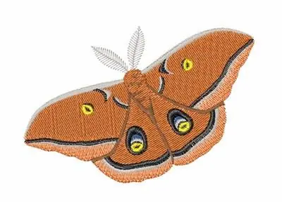 Hassle-Free Returns Polyphemus Silk Moth Embroidery Design