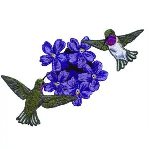 Price Cut Hummingbirds and Flower Embroidery Design