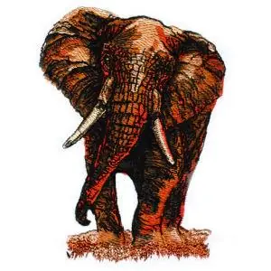 Elephant Embroidery Design Super Sale