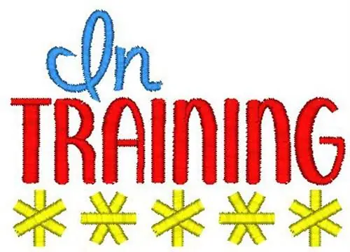 Int Taining Embroidery Design Worldwide Shipping