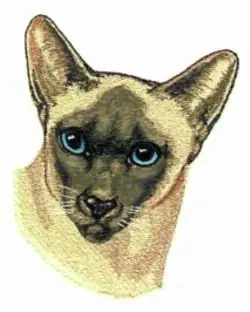 Siamese Embroidery Design Best Price