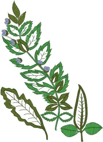 Sale Leaf Design Embroidery Design