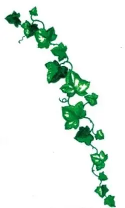 One Day Deal Ivy Embroidery Design