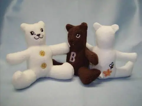 Stuffed Bear Project Embroidery Project Modern