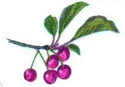 Direct From Factory Cherry Bunch Embroidery Design