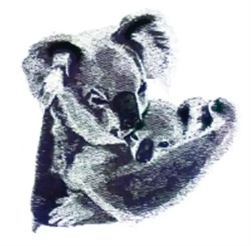 Koala & Baby Embroidery Design Genuine