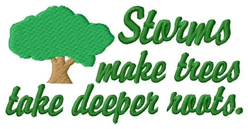 Storms Embroidery Design Free Shipping