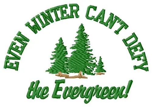 Original Even Winter Embroidery Design